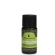 Macadamia Professional Healing Oil Treatment Възстановяващо олио за всеки тип коса 10 мл.
